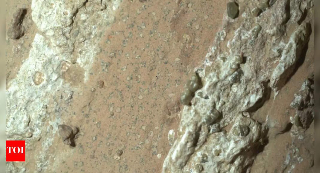 life-on-mars:-nasa-rover-discovers-strongest-sign-of-life-on-mars;-all-you-need-to-know