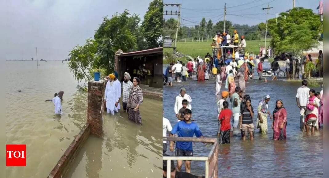 punjab-government-sets-up-health-camps-in-flood-hit-areas,-over-51,000-people-attended-on-day-one