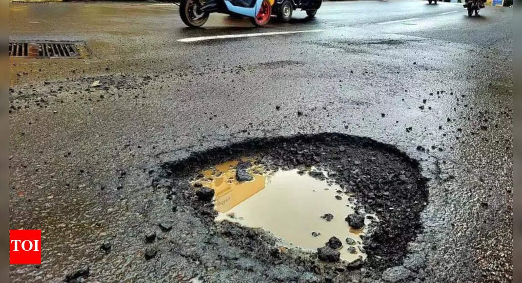 ‘situation-beyond-hope’:-blaming-potholes,-bengaluru-ceo-announces-‘breakup’-with-city;-netizens-rally