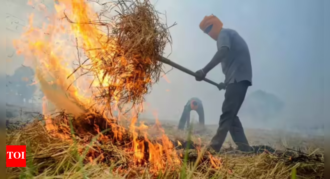 ‘if-some-people-are-behind-bars-…-‘:-sc-seeks-tough-action-on-pollution