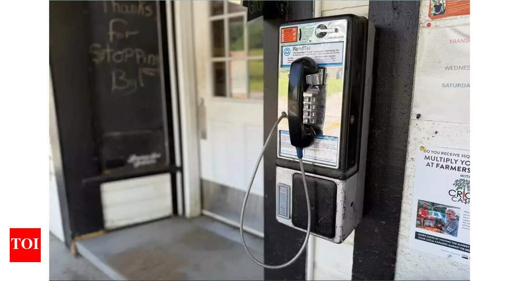 ‘we’re-just-trying-to…’:-how-a-phone-call-may-be-reason-for-an-indian-origin-businessman-to-be-deported-from-us