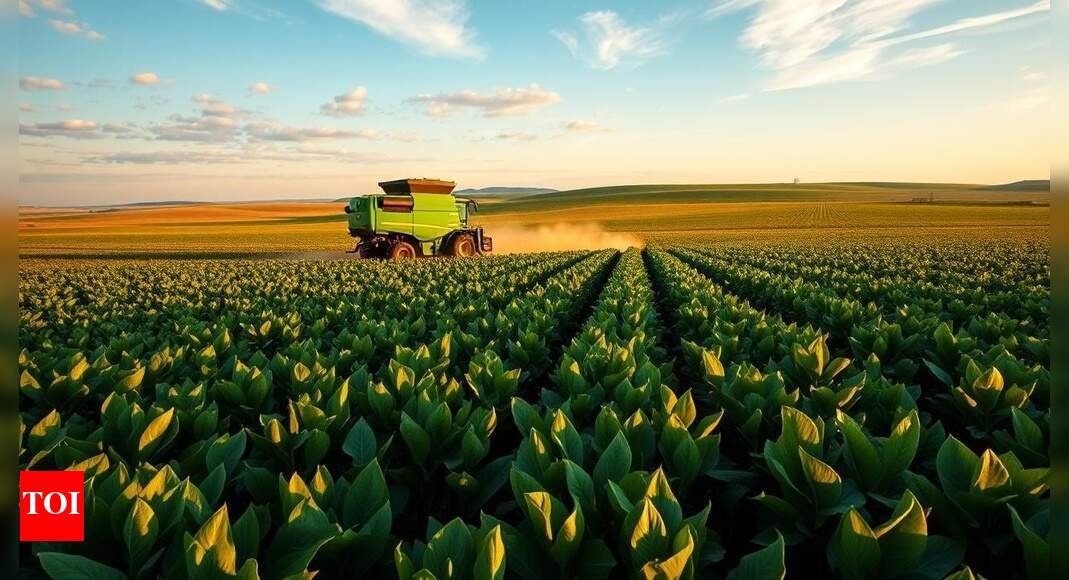 soya-soya-chand:-bad-moon-rising-over-us-farm-country;-tariffs-to-blame?