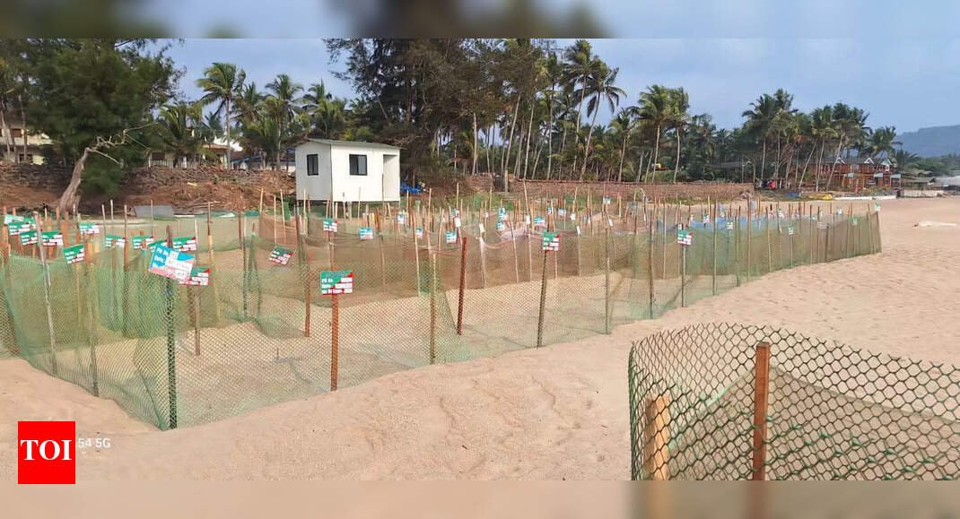 submit-details-of-removal-of-agonda-structures:-hc-to-goa-govt