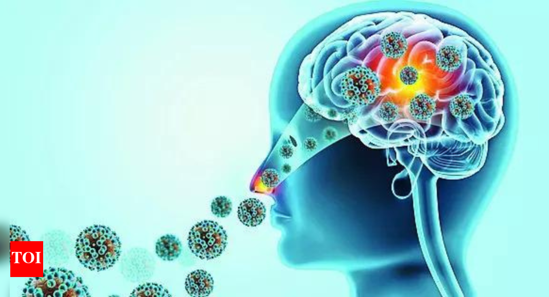 19-dead-this-year:-‘brain-eating’-amoeba-sparks-political-slugfest-in-kerala-house