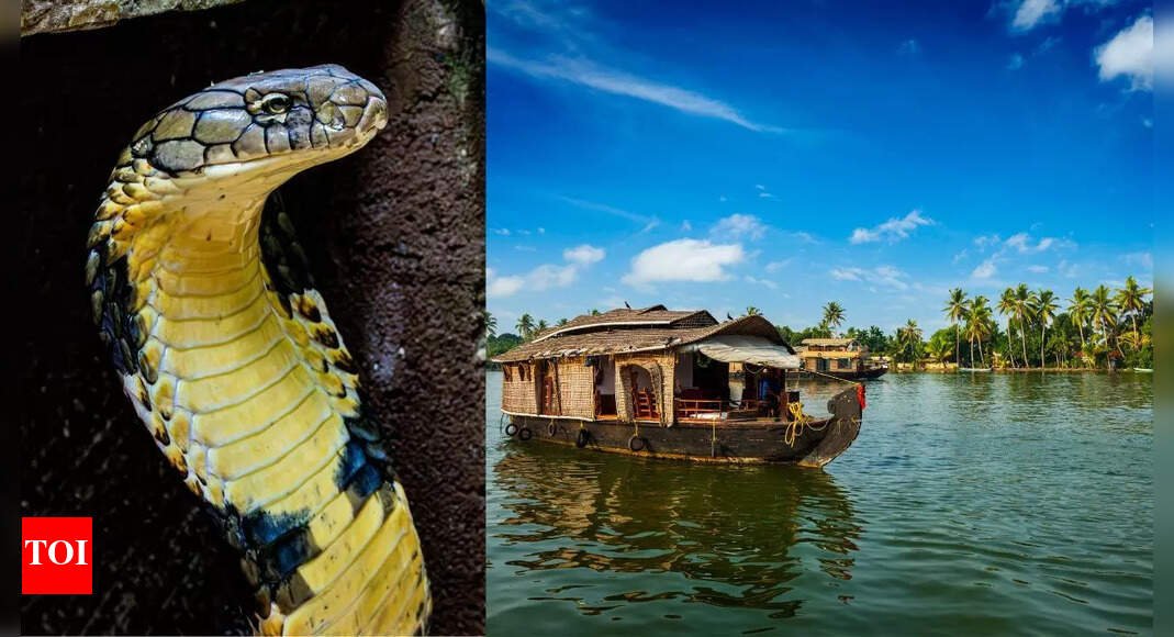 kerala’s-hidden-world-of-deadly-cobras-and-harmless-snakes-where-350-species-inhabit-forests,-wetlands,-and-villages