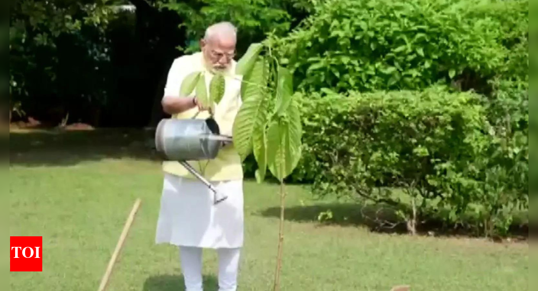 watch:-pm-modi-plants-a-kadamb-sapling;-king-charles-gifted-it-on-his-birthday