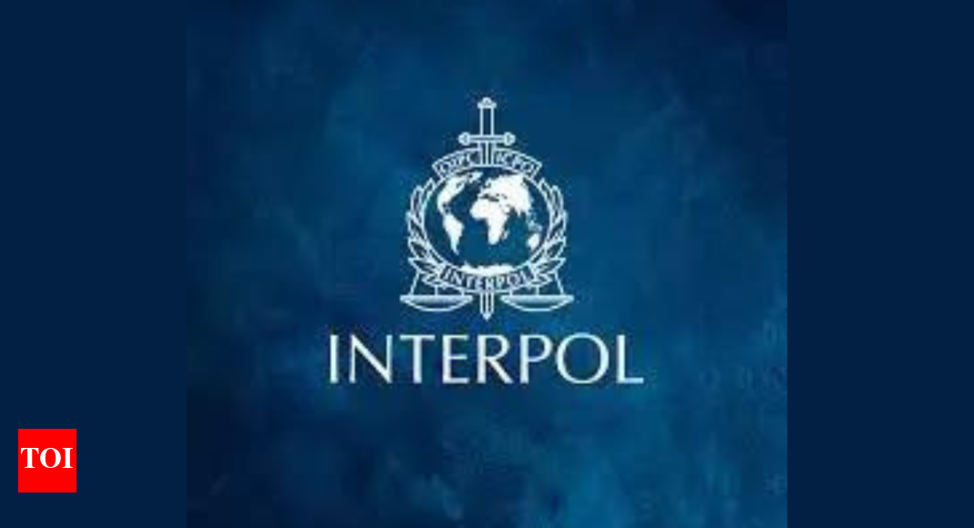 india-elected-member-of-interpol-asian-committee-at-singapore-conference
