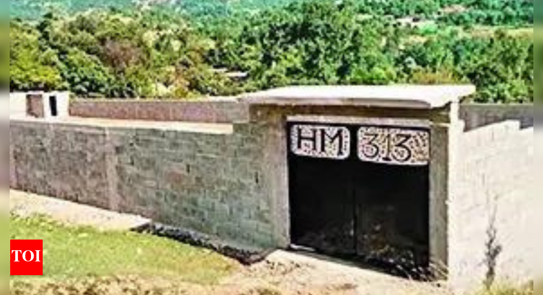 post-operation-sindoor,-major-pak-terror-groups-shifting-base-to-afghanistan-border