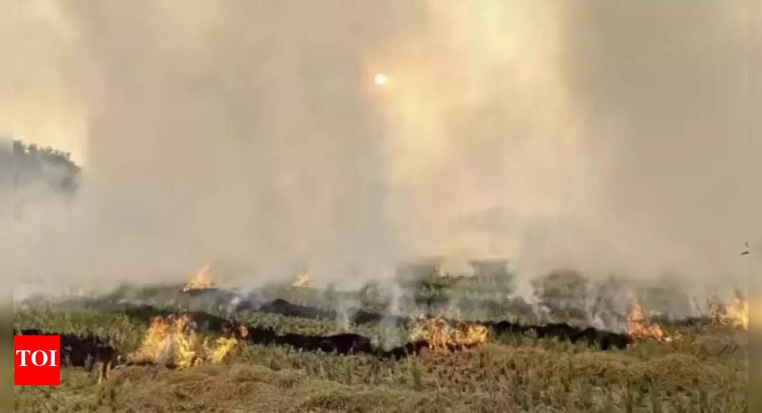 amritsar-inducts-aircare-centre-fellows-into-farm-fire-task-force
