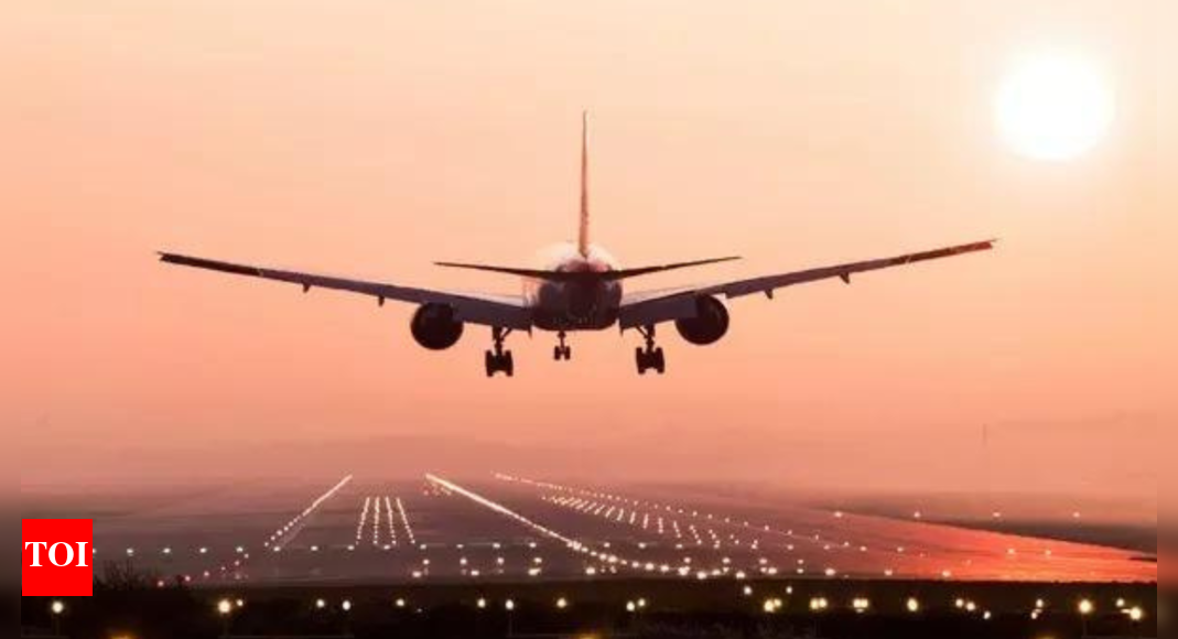 fares-to-us-soar-while-desperate-flyers-try-to-deboard-at-american-airports