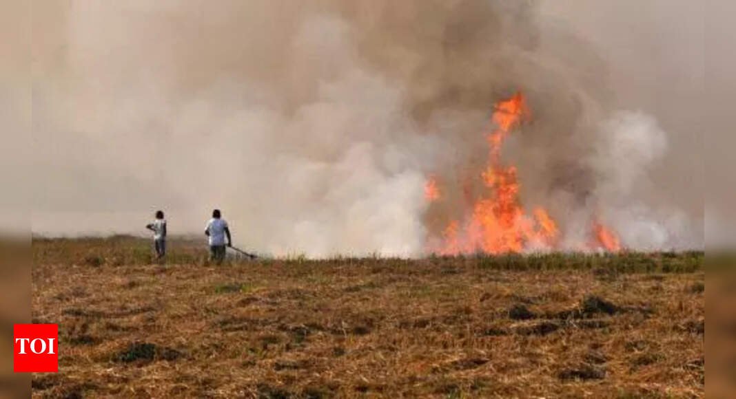 stubble-burning-:-48-fires,-8-firs,-13-red-entries-in-just-5-days