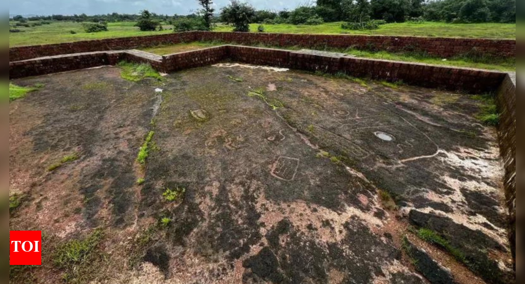konkan-coast-geoglyphs-may-be-24k-yrs-old,-says-state-directorate-of-archaeology