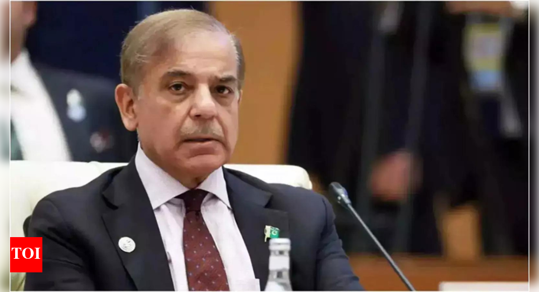‘did-not-publish-on-time’:-us-flags-pakistan’s-defence-budgets;-urges-transparency