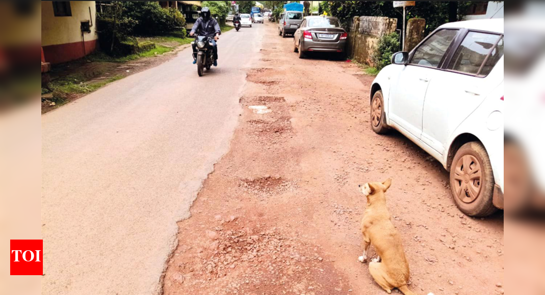 bicholim-town-plagued-with-potholed-roads,-littered-rivulet