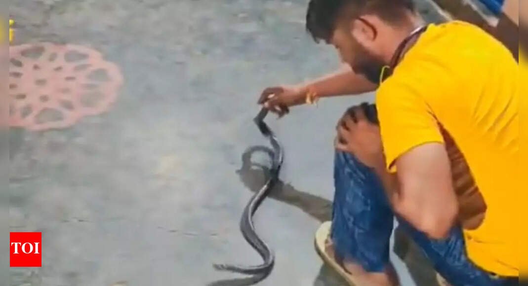 deadly-stunt:-man-dies-of-snakebite-while-filming-video-in-up’s-muzaffarnagar