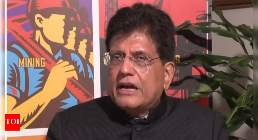 ‘we-provide-huge-amount-of-talent’:-piyush-goyal-amid-donald-trump’s-h-1b-fee-hike;-highlights-clean-energy-potential