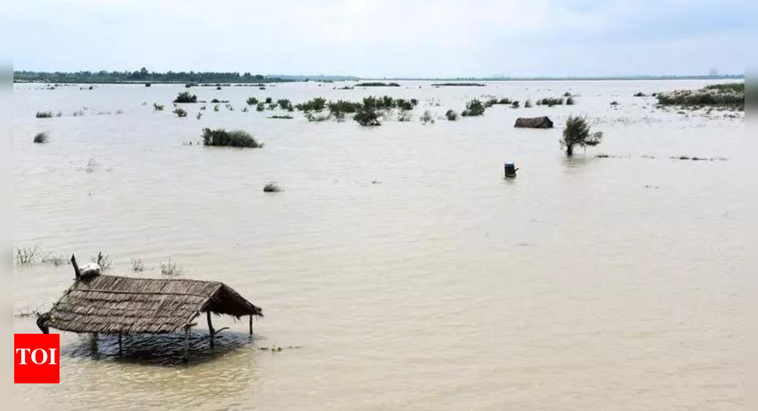 yamuna-nears-danger-mark:-delhi-braces-for-floods;-cm-says-‘situation-under-control’