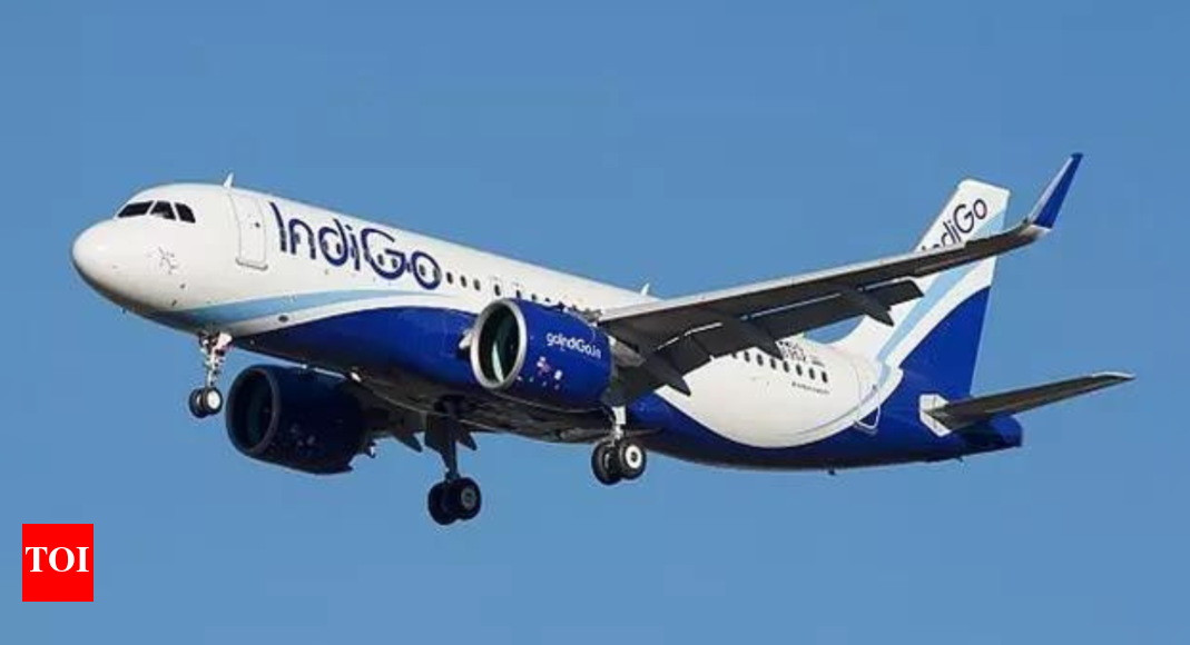 mid-air-scare:-suspected-bird-hit-on-indigo-nagpur-kolkata-flight;-probe-under-way