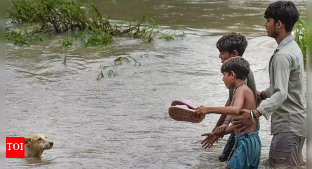 yamuna-threatens-delhi:-floodwaters-enter-homes;-traffic-advisory-issued