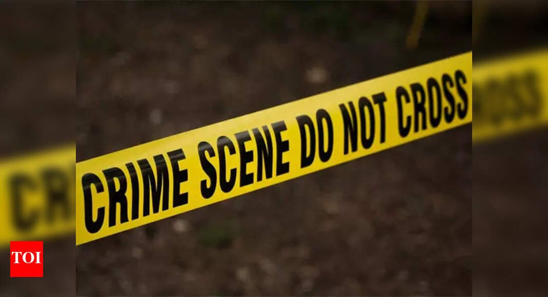 tennessee-becomes-first-us-state-to-introduce-gun-safety-classes-in-schools:-what-children-as-young-as-five-will-be-taught