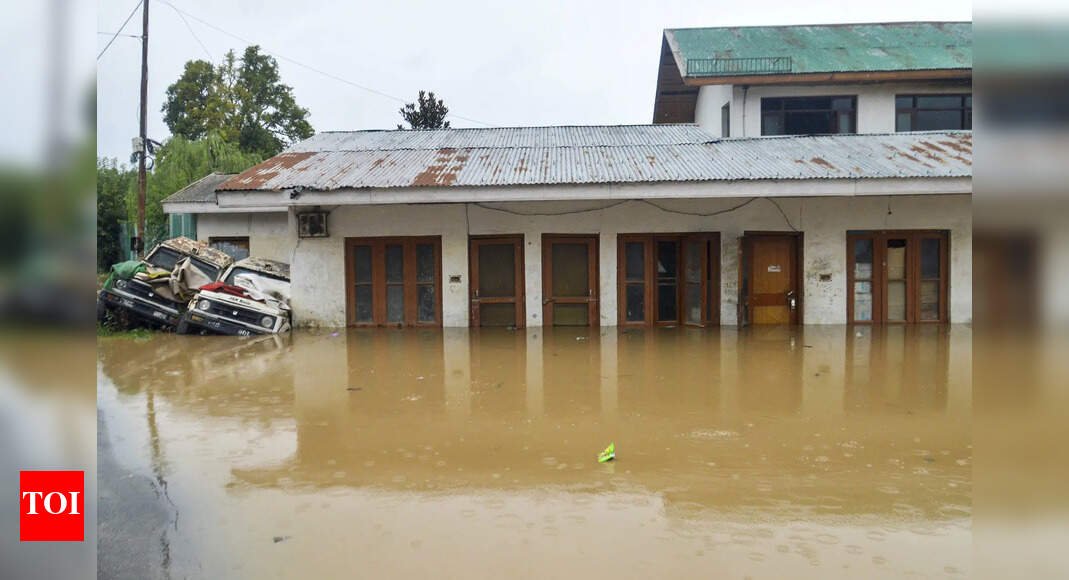 rain-batters-north-india:-scores-dead;-roads-flooded,-schools-shut