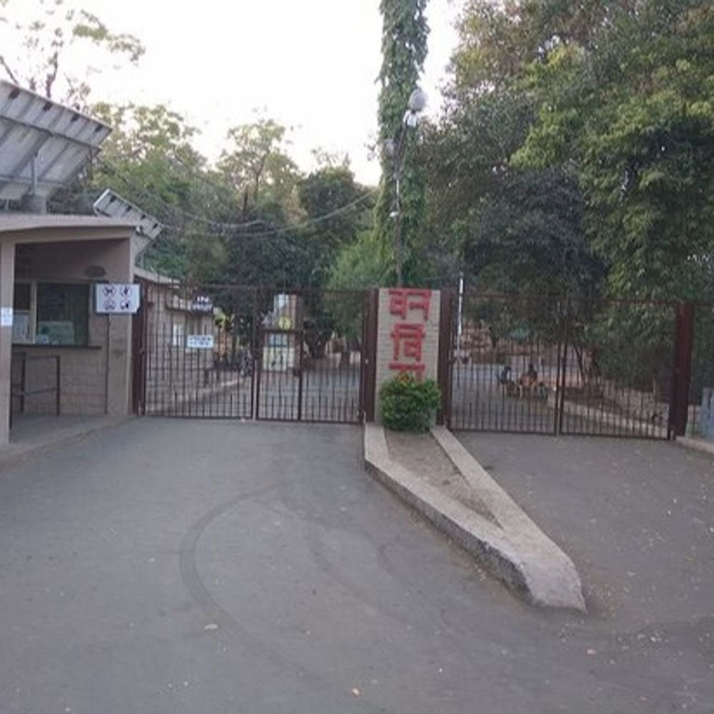 bhopal’s-van-vihar-becomes-‘no-vehicle’-zone-from-today:neither-cars,-nor-bikes-buses-will-be-allowed-inside;-tourists-can-explore-with-40-golf-carts