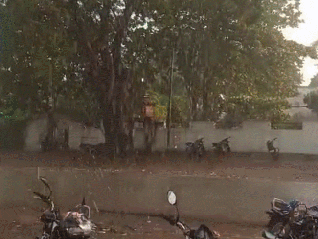 heavy-rain-alert-in-17-districts-of-mp:up-to-8-inches-of-downpour-expected-in-eastern-region;-thunderstorms-likely-elsewhere