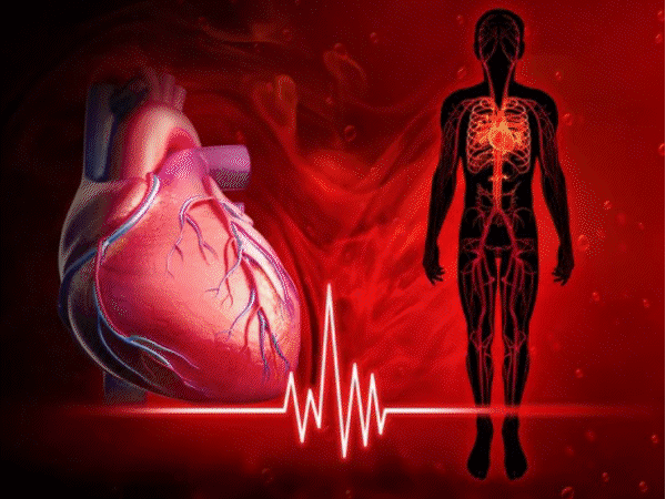 30%-of-indore-population-faces-high-blood-pressure:screening-of-4-lakh-people-reveals-alarming-health-risks,-experts-urge-immediate-lifestyle-improvements