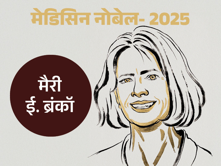 2025-मेडिसिन-का-नोबेल-3-वैज्ञानिकों-को,-इनमें-1-महिला:इम्यून-सेल-के-हमले-रोकने-वाली-t-कोशिकाएं-खोजीं;-कैंसर-डायबिटीज-के-इलाज-में-मददगार