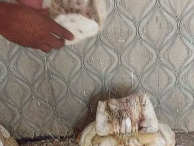 youth-tells-bjp-mla,-‘don’t-show-too-much-leadership’:angry-locals-in-rewa-lash-out-after-idol-vandalism-at-temple