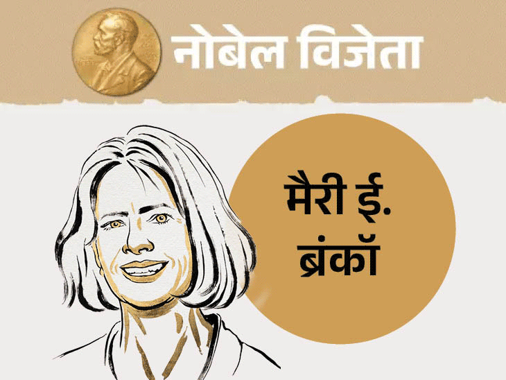 इम्‍यून-सिस्‍टम-क्‍यों-नहीं-करता-शरीर-के-अंगों-पर-हमला:क्‍या-है-‘पेरिफेरल-इम्यून-टॉलरेंस’-जिसकी-खोज-के-लिए-मिला-मेडिसिन-का-नोबेल