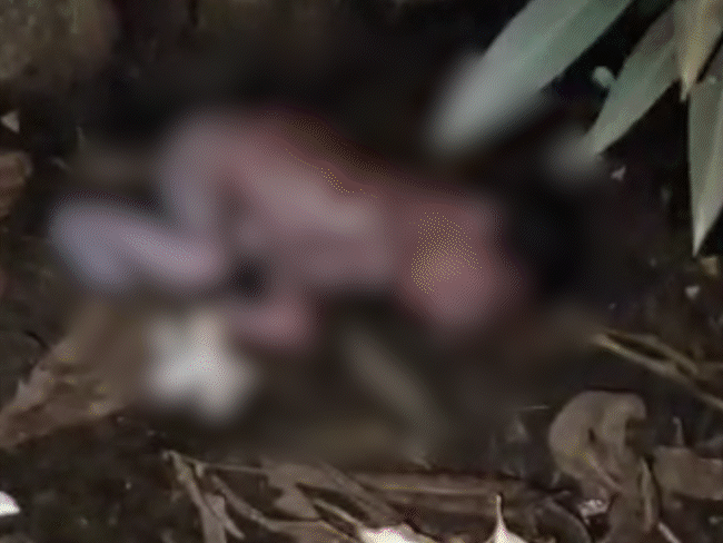 newborn-thrown-in-tikamgarh-hospital-premises-after-delivery:2-bikers-and-woman-caught-on-cctv;-all-3-taken-into-custody