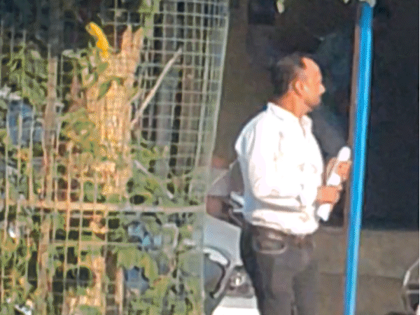 illegal-activities-exposed-at-bhopal-rto:bribery-system-outsourced-via-shop-number-1;-ujjain-rto-illegally-altered-seats-of-narmadapuram-registered-bus