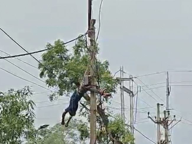 employee-electrocuted-during-pole-shifting-in-jabalpur:hangs-upside-down-for-10-minutes-after-sparks;-rescue-captured-on-video