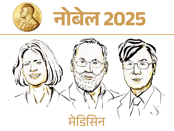इम्यून-सिस्टम-पर-रिसर्च-को-फिजिक्स-केमिस्ट्री-और-मेडिसिन-में-नोबेल:3-3-साइंटिस्ट्स-को-मिला-सम्मान,-जानें-केमिस्ट्री-की-खोज-का-हैरी-पॉटर-की-हरमाइनी-से-कनेक्शन