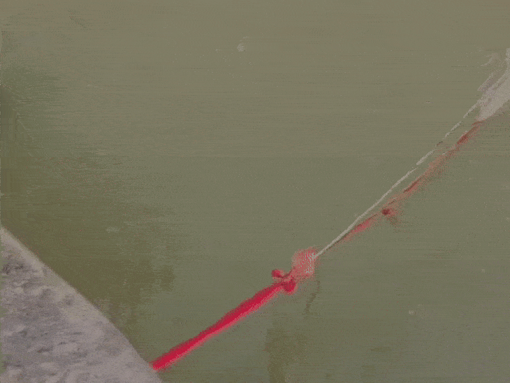 14-year-old-shahdol-teen-swept-away-in-river-during-reel-making-attempt:suspended-on-a-bridge-by-rope,-friends-watch-helplessly-as-his-hands-slip;-search-underway