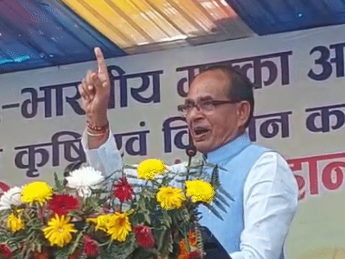 agriculture-minister-shivraj-chouhan-slams-punjab-govt:says,-‘saundh-skipped-ludhiana-flood-meeting’;-sent-letter-to-cm-seeking-detailed-report-on-damage-assessment