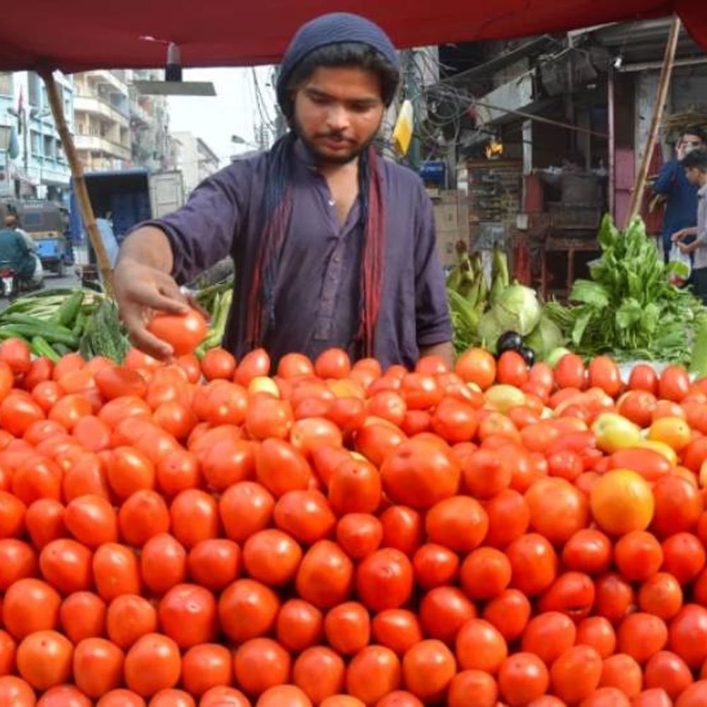 prices-of-tomatoes-at-₹600-per-kg-in-pakistan:border-crossing-closed-amid-afghanistan-dispute,-5,000-containers-stuck,-supply-halved