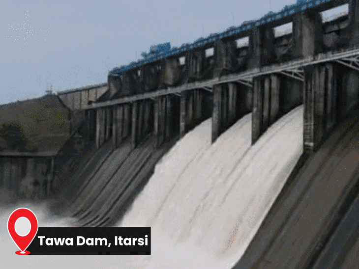rain-returns;-tawa-dam-gates-opened-for-the-79th-time:maize-crop-damaged-in-guna,-paddy-soaked-in-sheopur