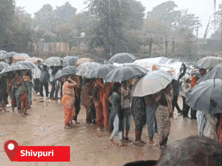 rain-lashes-gwalior-ratlam,-clouds-cover-bhopal-indore:over-1200-trolleys-of-paddy-soaked-in-bhind;-weather-department-issues-four-day-alert-across-madhya-pradesh