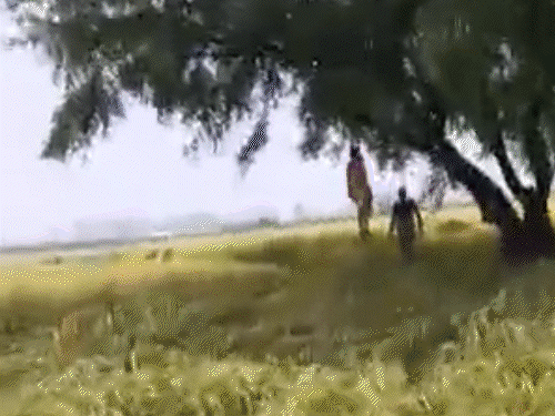 farmer-hangs-himself-from-tree-in-sheopur-village:was-distressed-over-paddy-crop-damage-due-to-rain;-villagers-protest,-block-road-with-body