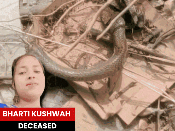 18-year-old-bitten-by-dead-snake-in-morena:experts-say-reflex-action-keeps-snakes-dangerous-even-after-death;-similar-cases-reported-in-assam