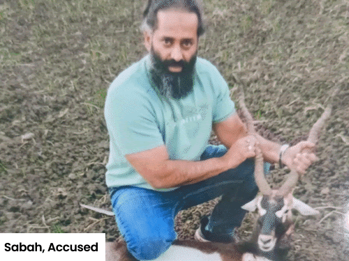 fourth-accused-arrested-in-mhow-poaching-case:reveals-supply-of-blackbuck-meat-to-wealthy-and-political-families;-swedish-guns-worth-₹50-lakh-imported,-forest-officials-involved