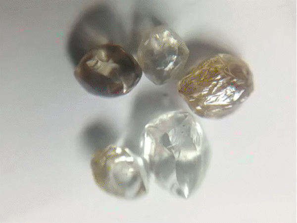 6-farmers-turn-millionaires-overnight-in-panna:5-diamonds-worth-nearly-₹12-lakh-discovered-together;-farmers-say-finding-them-feels-like-a-dream
