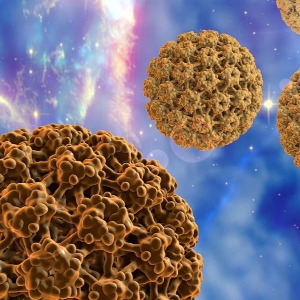 cervical-cancer-prevention-needs-early-vaccination:health-experts-urge-screening-and-awareness-among-women;-stressing-hpv-vaccine-between-9-to-14-years-for-protection
