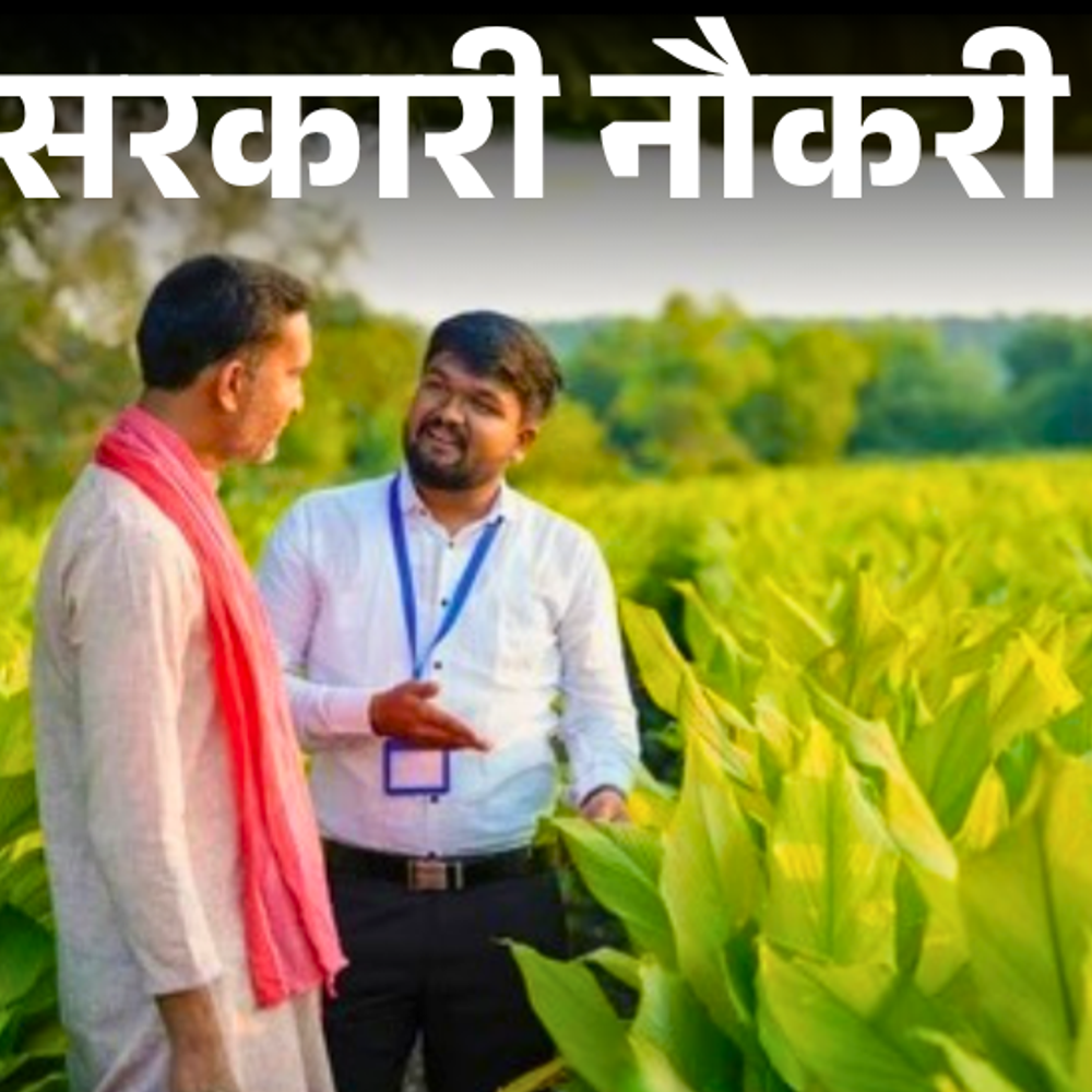 सरकारी-नौकरी:कैबिनेट-सेक्रेटेरिएट-में-250-पदों-पर-भर्ती-निकली;-15-नवंबर-से-आवेदन-शुरू,-सैलरी-1.46-लाख-तक