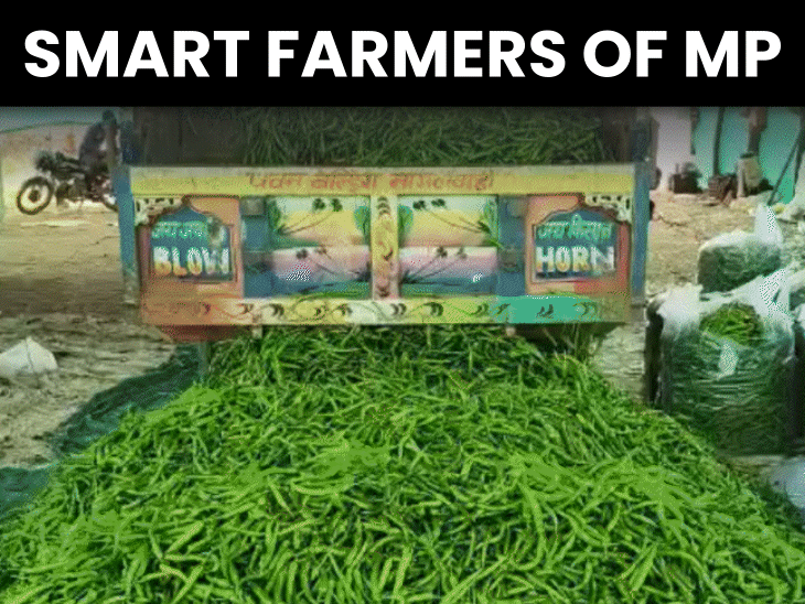 quits-govt-job-preparations-and-switch-to-vegetable-farming:started-with-6-acres,-now-farms-130-acres;-mp-farmer-now-earns-₹1-crore-annually