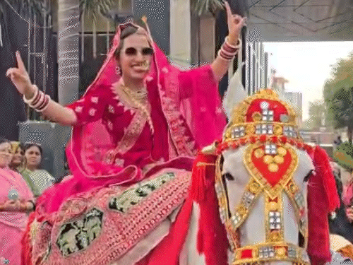 unique-ritual-sees-bride-ride-to-groom-in-ujjain:spectators-pause-to-capture-scene-as-couple-proudly-follows-ancestral-community-practice