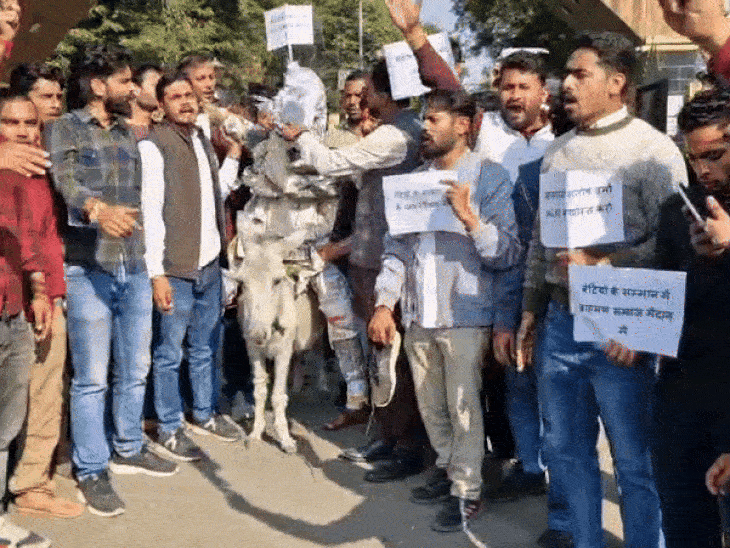 gen-z-protests-over-ias-verma’s-remark-on-brahmin-daughters:officer’s-effigy-paraded-on-donkey-at-bhopal-university;-beaten-with-shoes