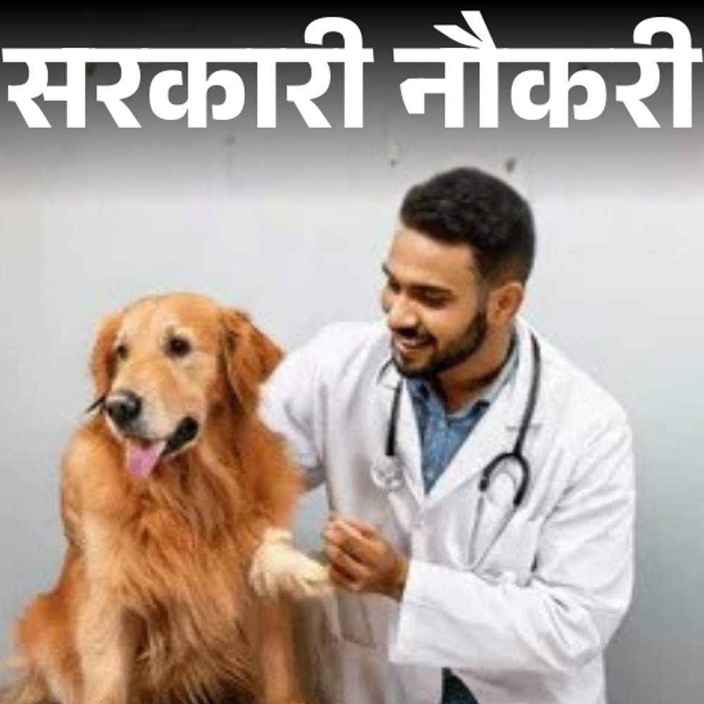 सरकारी-नौकरी:गुजरात-में-वेटरनरी-ऑफिसर-सहित-425-पदों-पर-निकली-भर्ती;-एज-लिमिट-35-साल,-सैलरी-1-लाख-77-हजार-तक